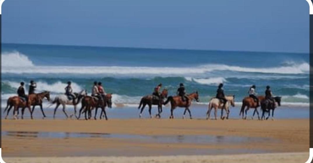 Hebergement Bord De Mer Casablanca Exterior photo